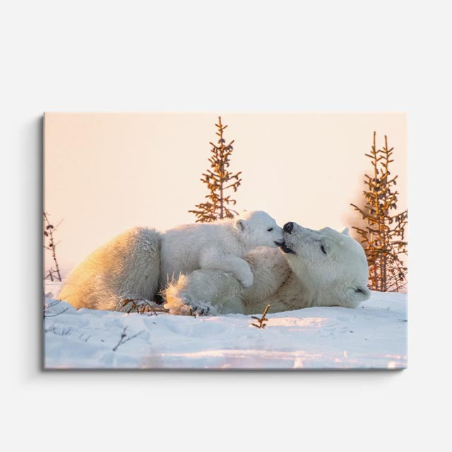 cuadro canvas vida salvaje familia de osos polares horizontal