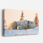 cuadro canvas vida salvaje familia de osos polares horizontal