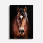 cuadro canvas vida salvaje caballo de estrella vertical
