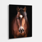 cuadro canvas vida salvaje caballo de estrella vertical