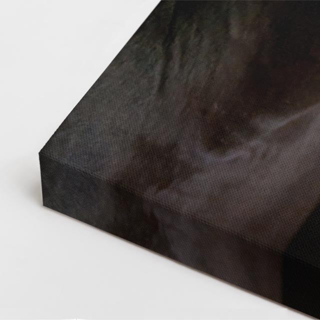cuadro canvas vida salvaje caballo negro noble vertical