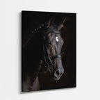 cuadro canvas vida salvaje caballo negro noble vertical