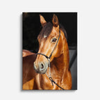 cuadro canvas vida salvaje caballo de oro vertical