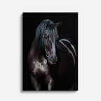 cuadro canvas vida salvaje caballo de ébano vertical