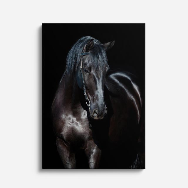 cuadro canvas vida salvaje caballo de ébano vertical