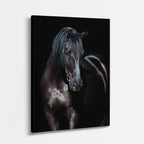 cuadro canvas vida salvaje caballo de ébano vertical