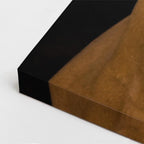 cuadro canvas vida salvaje brillo de brida vertical