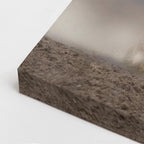 cuadro canvas vida salvaje galope del viento vertical