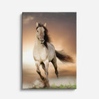 cuadro canvas vida salvaje caballo de aurora vertical