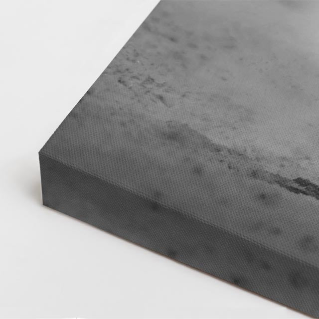 cuadro canvas vida salvaje corcel en niebla vertical