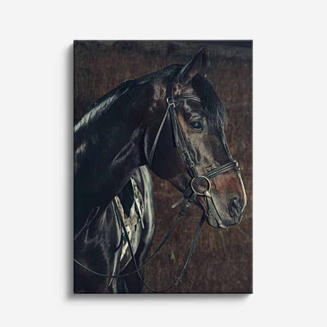 cuadro canvas vida salvaje caballo azul nocturno vertical