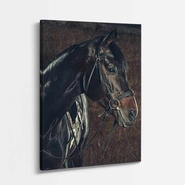 cuadro canvas vida salvaje caballo azul nocturno vertical