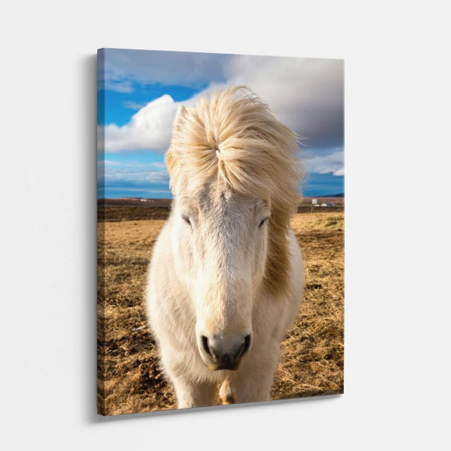 cuadro canvas vida salvaje crin de nieve vertical