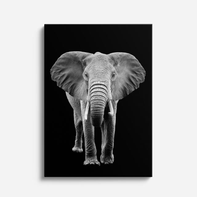 cuadro canvas vida salvaje elefante de marfil vertical