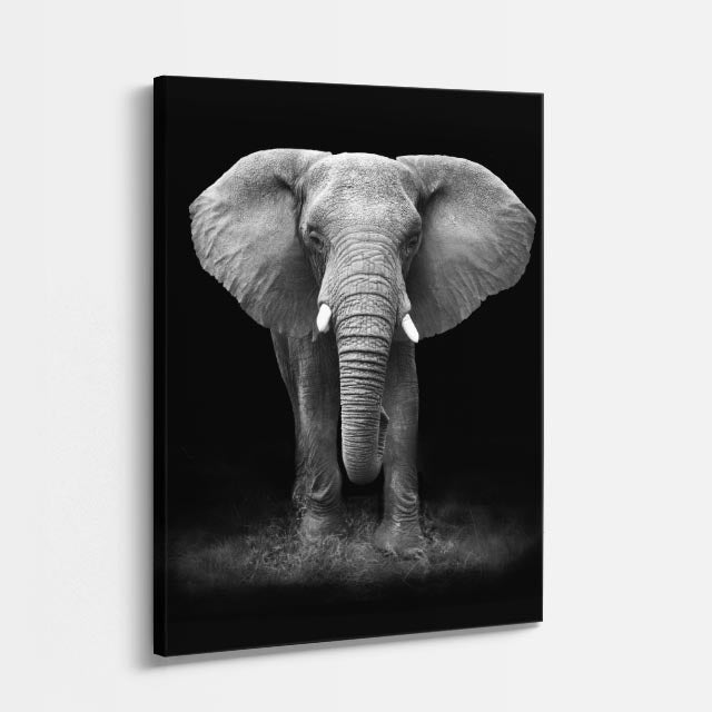 cuadro canvas vida salvaje frente del gigante vertical