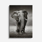 cuadro canvas vida salvaje elefante monocromo vertical