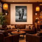 cuadro canvas vida salvaje elefante monocromo vertical