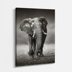 cuadro canvas vida salvaje elefante monocromo vertical