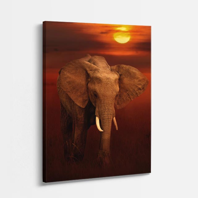 cuadro canvas vida salvaje atardecer del coloso vertical