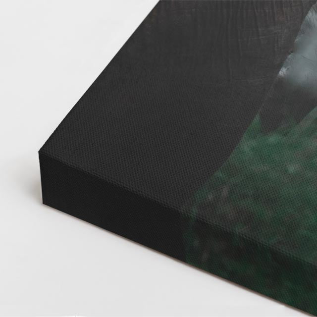 cuadro canvas vida salvaje titán del trópico vertical