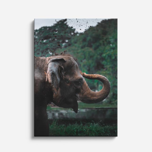 cuadro canvas vida salvaje titán del trópico vertical