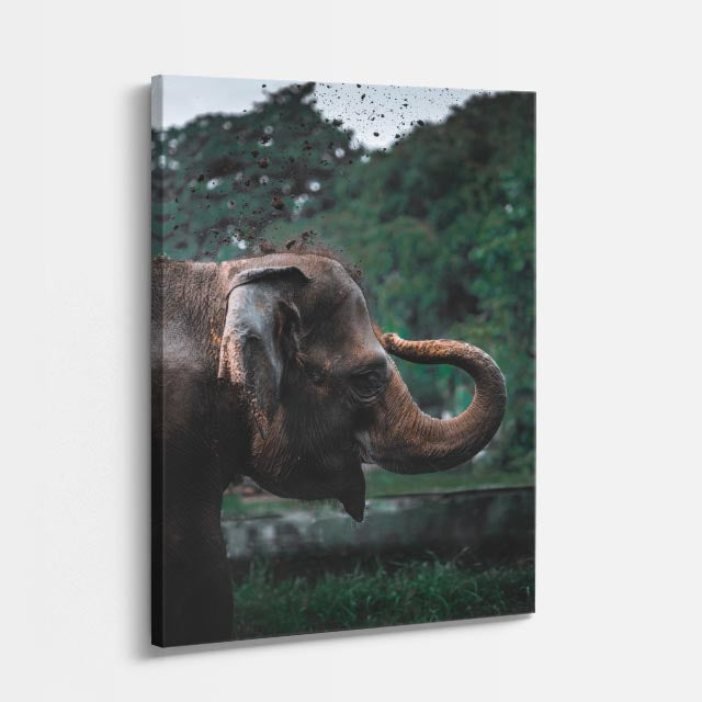 cuadro canvas vida salvaje titán del trópico vertical