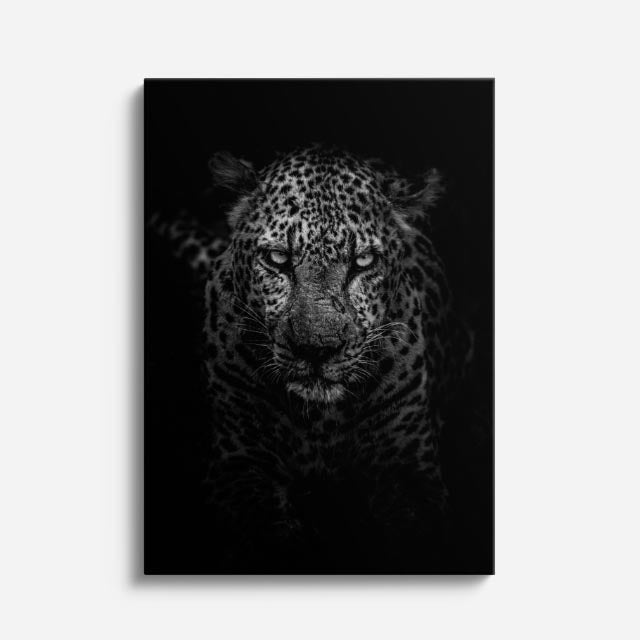 cuadro canvas vida salvaje leopardo de sombra vertical