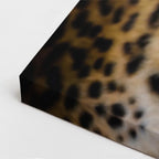 cuadro canvas vida salvaje retrato del leopardo vertical