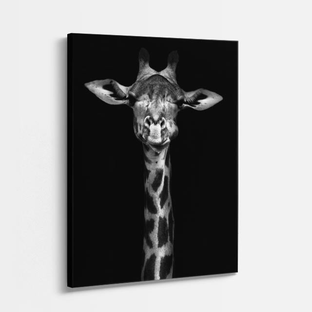 cuadro canvas vida salvaje jirafa monocroma vertical