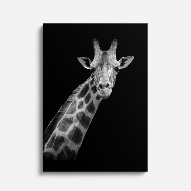 cuadro canvas vida salvaje cuello de sabana vertical