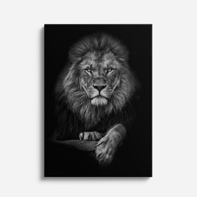 cuadro canvas vida salvaje león de ceniza vertical
