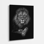 cuadro canvas vida salvaje león de ceniza vertical