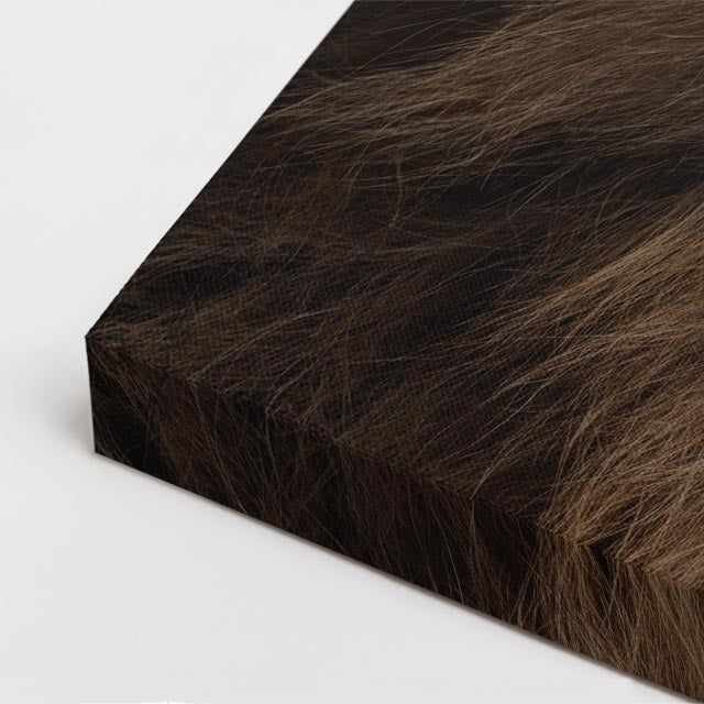 cuadro canvas vida salvaje mirada del león vertical