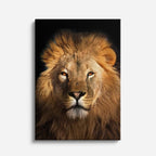 cuadro canvas vida salvaje mirada del león vertical