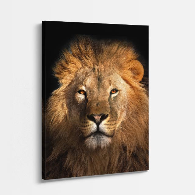 cuadro canvas vida salvaje mirada del león vertical