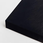 cuadro canvas vida salvaje melena de plata vertical