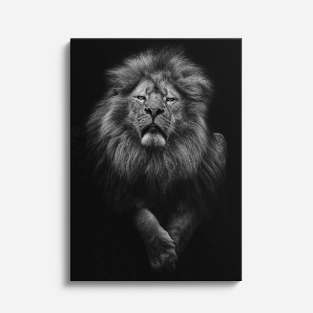 cuadro canvas vida salvaje león monocromo vertical