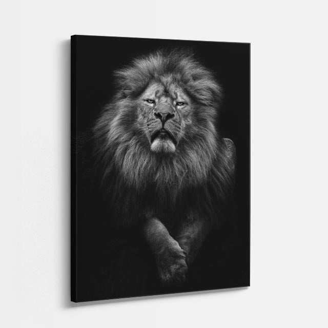 cuadro canvas vida salvaje león monocromo vertical