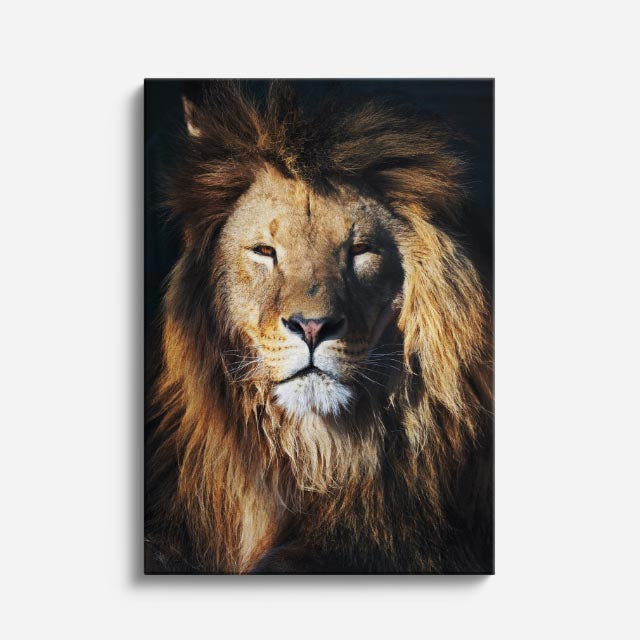 cuadro canvas vida salvaje león de bronce vertical