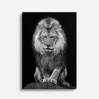 cuadro canvas vida salvaje león blanco majestuoso vertical