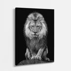 cuadro canvas vida salvaje león blanco majestuoso vertical