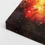 cuadro canvas vida salvaje corona de fuego vertical