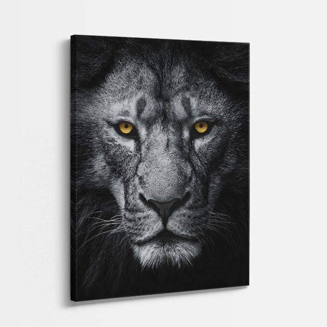 cuadro canvas vida salvaje mirada gris vertical