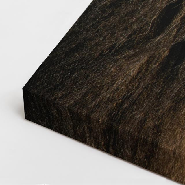 cuadro canvas vida salvaje perfil del león vertical