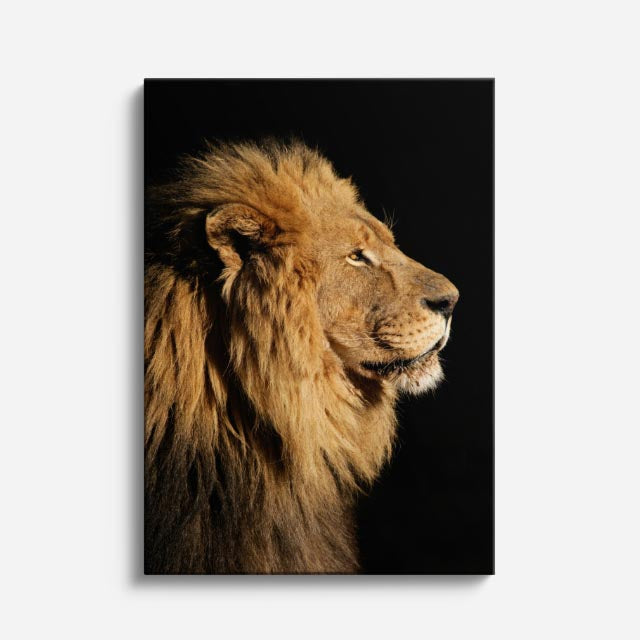 cuadro canvas vida salvaje perfil del león vertical