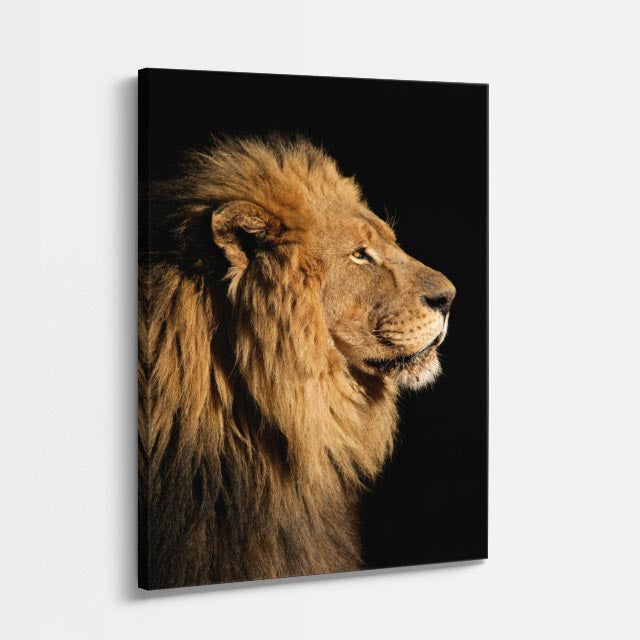cuadro canvas vida salvaje perfil del león vertical