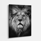 cuadro canvas vida salvaje león dual vertical