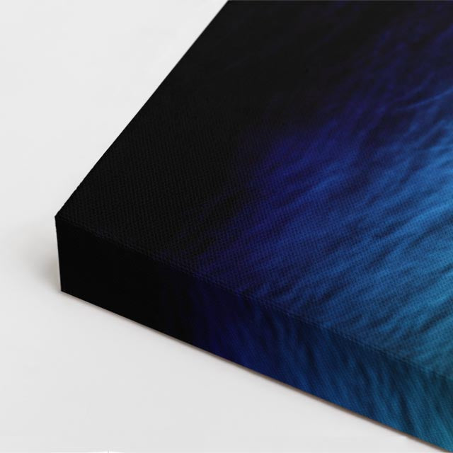 cuadro canvas vida salvaje león azul dorado vertical
