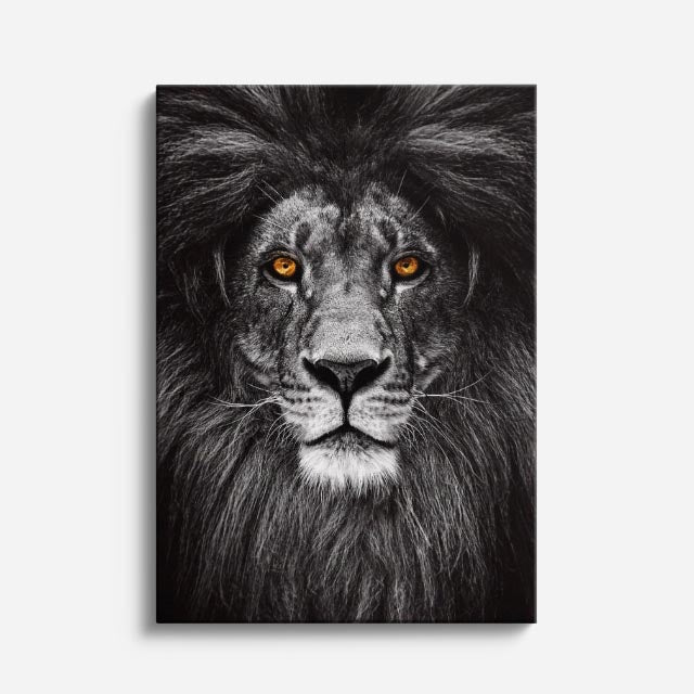 cuadro canvas vida salvaje león nocturno vertical