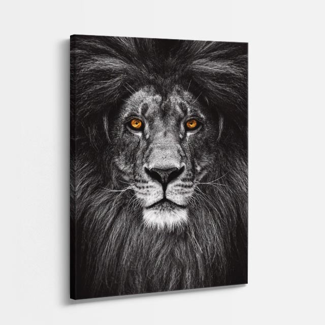 cuadro canvas vida salvaje león nocturno vertical